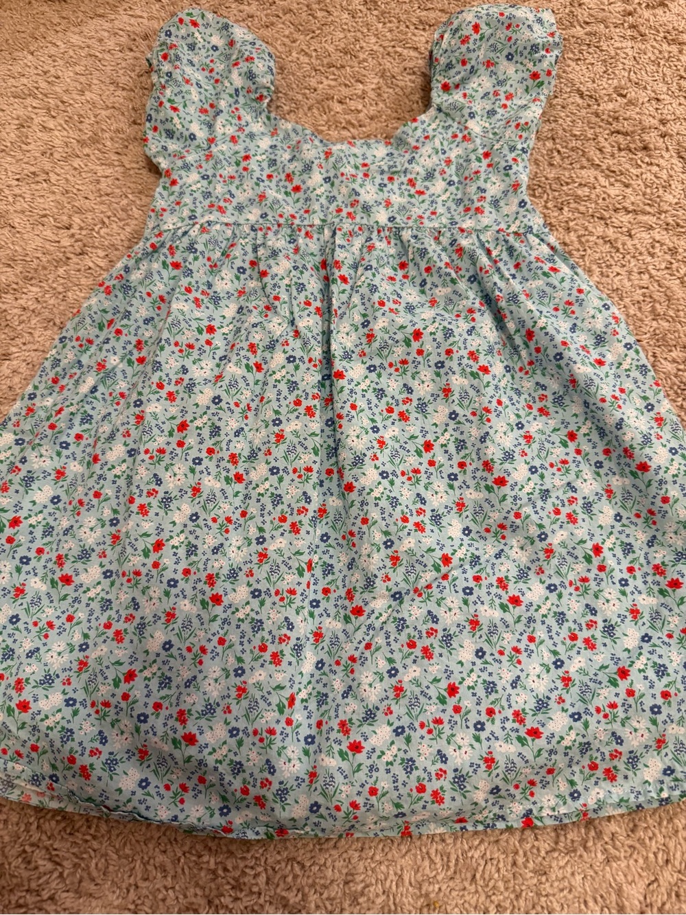 Janie and Jack Light Blue Floral Dress with Red and Green Accents